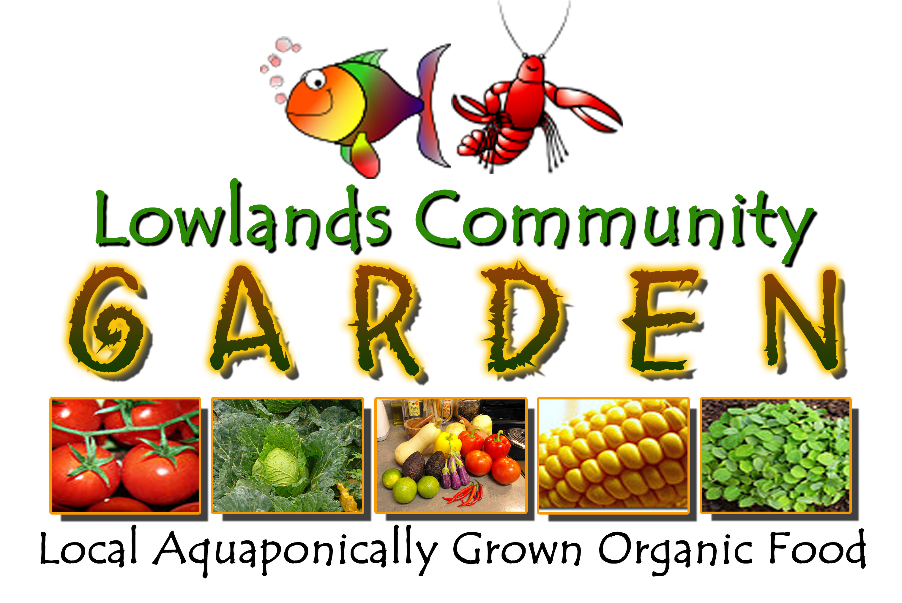 introducing the lowlands community garden