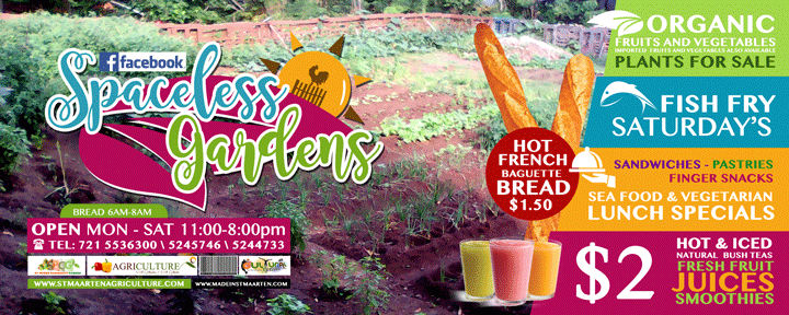 spaceless-gardens-banner-facebook