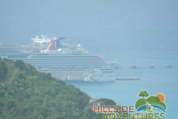 Hillside Adventured tour Philipsburg Jubilee Library summer camp-st maarten-ilandvibez-agriculture-spaceless gardens web130