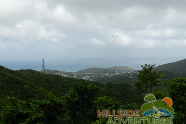 Hillside Adventured tour Philipsburg Jubilee Library summer camp-st maarten-ilandvibez-agriculture-spaceless gardens web132