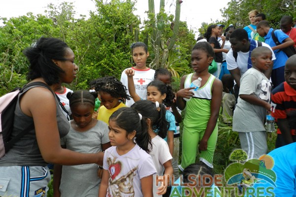 Hillside Adventured tour Philipsburg Jubilee Library summer camp-st maarten-ilandvibez-agriculture-spaceless gardens web156