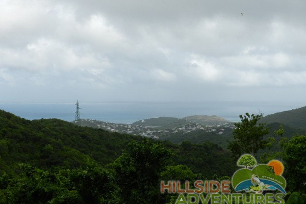 Hillside Adventured tour Philipsburg Jubilee Library summer camp-st maarten-ilandvibez-agriculture-spaceless gardens web161