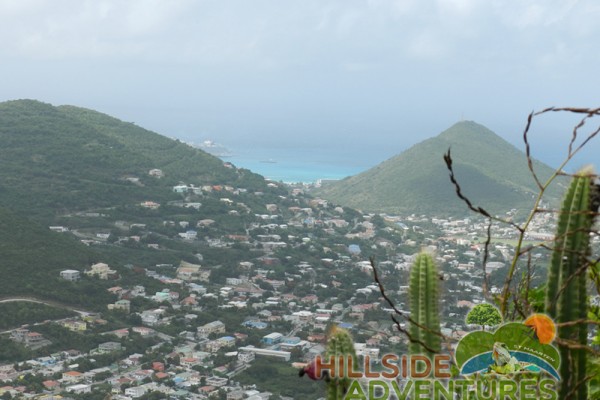 Hillside Adventured tour Philipsburg Jubilee Library summer camp-st maarten-ilandvibez-agriculture-spaceless gardens web162
