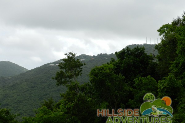 Hillside Adventured tour Philipsburg Jubilee Library summer camp-st maarten-ilandvibez-agriculture-spaceless gardens web168