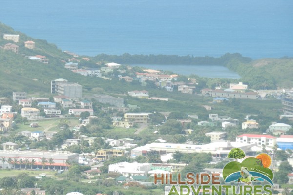 Hillside Adventured tour Philipsburg Jubilee Library summer camp-st maarten-ilandvibez-agriculture-spaceless gardens web169