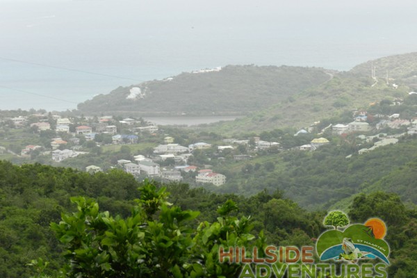 Hillside Adventured tour Philipsburg Jubilee Library summer camp-st maarten-ilandvibez-agriculture-spaceless gardens web170