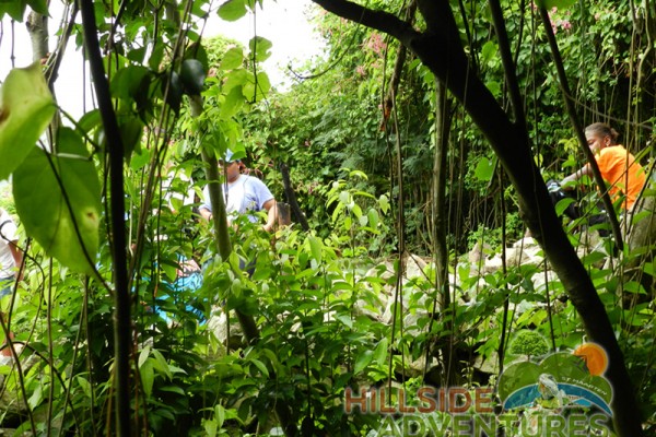 Hillside Adventured tour Philipsburg Jubilee Library summer camp-st maarten-ilandvibez-agriculture-spaceless gardens web176