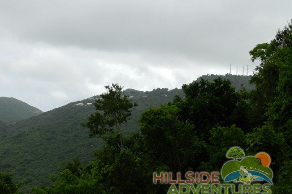 Hillside Adventured tour Philipsburg Jubilee Library summer camp-st maarten-ilandvibez-agriculture-spaceless gardens web181