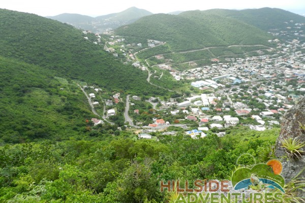 Hillside Adventured tour Philipsburg Jubilee Library summer camp-st maarten-ilandvibez-agriculture-spaceless gardens web188