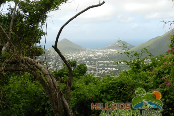 Hillside Adventured tour Philipsburg Jubilee Library summer camp-st maarten-ilandvibez-agriculture-spaceless gardens web189