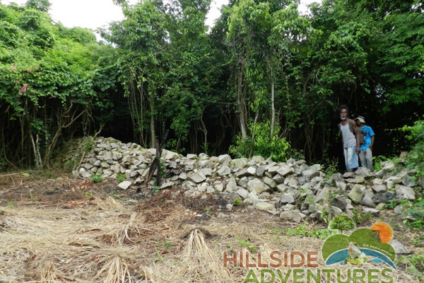 Hillside Adventured tour Philipsburg Jubilee Library summer camp-st maarten-ilandvibez-agriculture-spaceless gardens web190