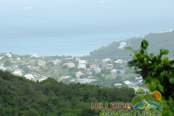 Hillside Adventured tour Philipsburg Jubilee Library summer camp-st maarten-ilandvibez-agriculture-spaceless gardens web195