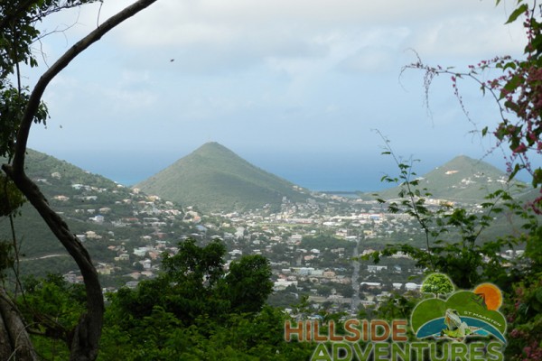 Hillside Adventured tour Philipsburg Jubilee Library summer camp-st maarten-ilandvibez-agriculture-spaceless gardens web197