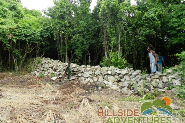 Hillside Adventured tour Philipsburg Jubilee Library summer camp-st maarten-ilandvibez-agriculture-spaceless gardens web198