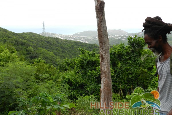 Hillside Adventured tour Philipsburg Jubilee Library summer camp-st maarten-ilandvibez-agriculture-spaceless gardens web205