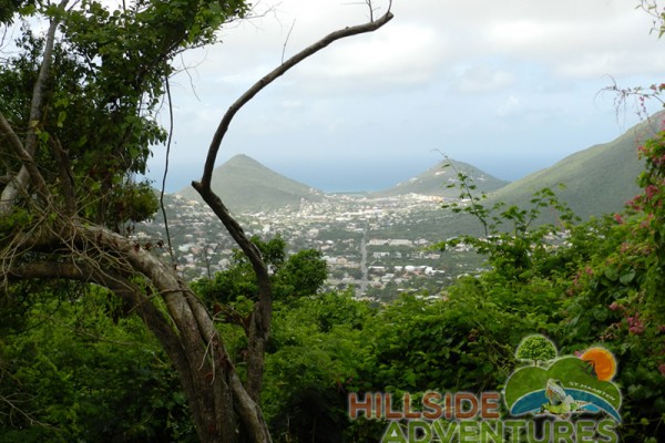 Hillside Adventured tour Philipsburg Jubilee Library summer camp-st maarten-ilandvibez-agriculture-spaceless gardens web207