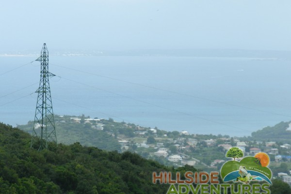 Hillside Adventured tour Philipsburg Jubilee Library summer camp-st maarten-ilandvibez-agriculture-spaceless gardens web209