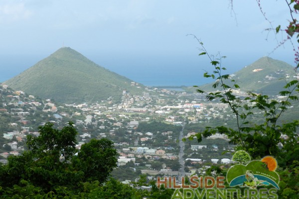 Hillside Adventured tour Philipsburg Jubilee Library summer camp-st maarten-ilandvibez-agriculture-spaceless gardens web213