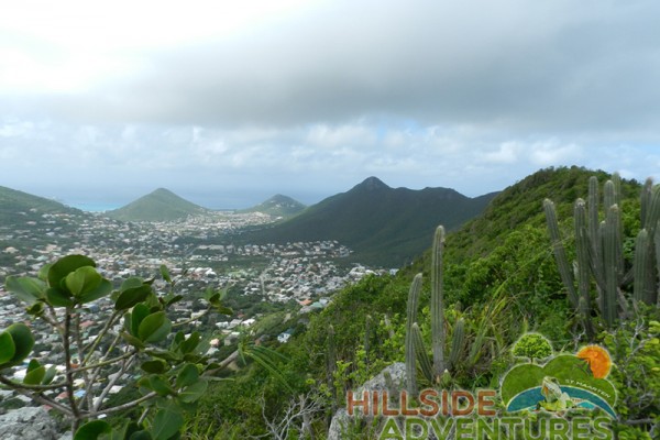 Hillside Adventured tour Philipsburg Jubilee Library summer camp-st maarten-ilandvibez-agriculture-spaceless gardens web216