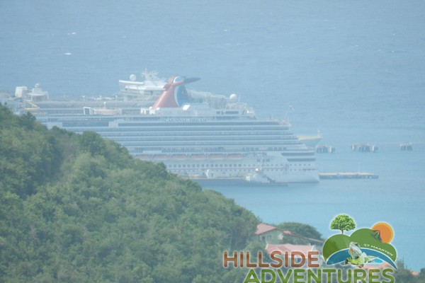 Hillside Adventured tour Philipsburg Jubilee Library summer camp-st maarten-ilandvibez-agriculture-spaceless gardens web227