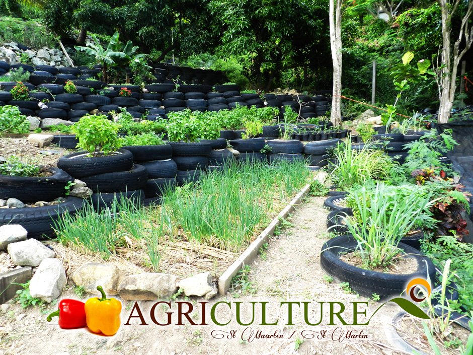 Lake wants to start department of agriculture