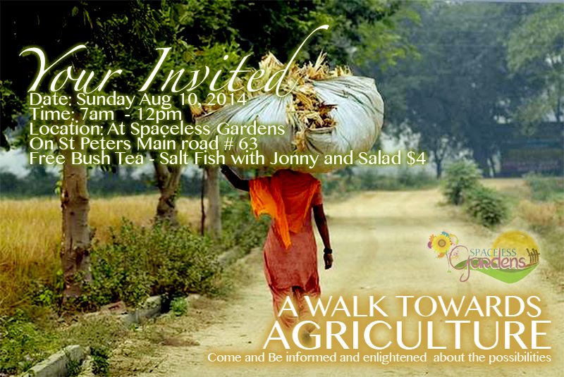 Your Invited to a walk for Agriculture – St Peters Community Garden