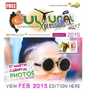cultural-ex-banner-feb-2015-EDITION-