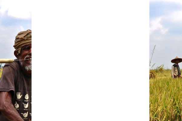 AGRICULTURE-BACKGROUND-2015