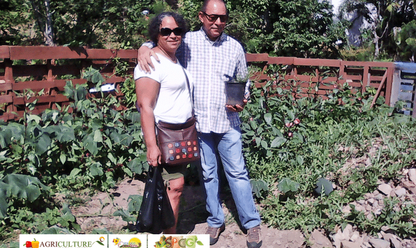 Another joyful day at The St Peters Community Garden