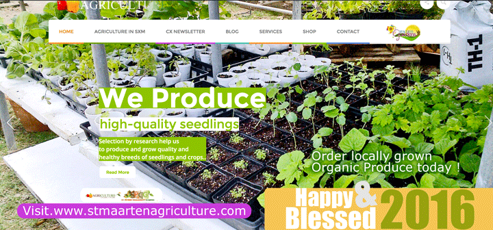 Blessed love and A Joyful 2016 from us at St Maarten Agriculture