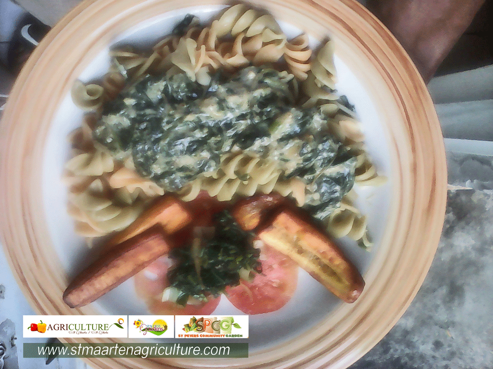 dinner-recipies-St-Peters-community-Garden-Visitors-st-maarten-agriculture