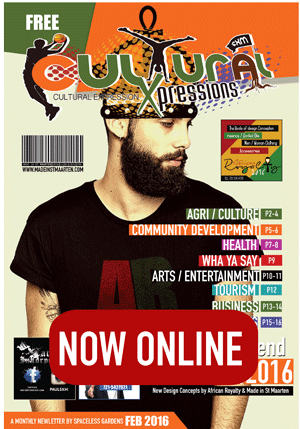 Cultural-Xpression-newsletter-feb-2016-widget