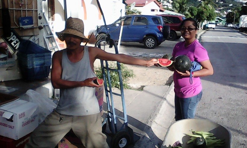 A walk around the neighborhood – 32 Kilos of Watermelon harvested today