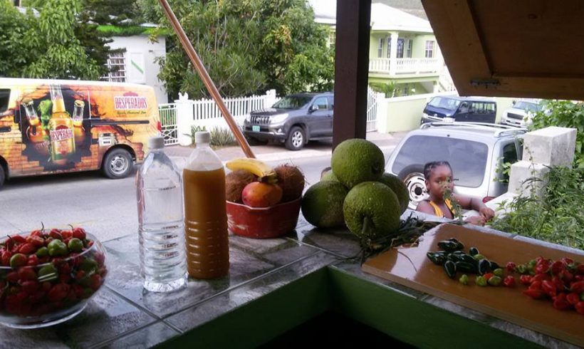 Spaceless Gardens gives away free samples of Alkaline Fruit Water tomorrow at Fish Fry Saturday’s