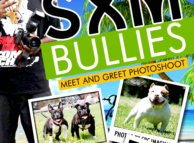 Bullie photo shoot and Fish Fry at Mullet Bay Beach