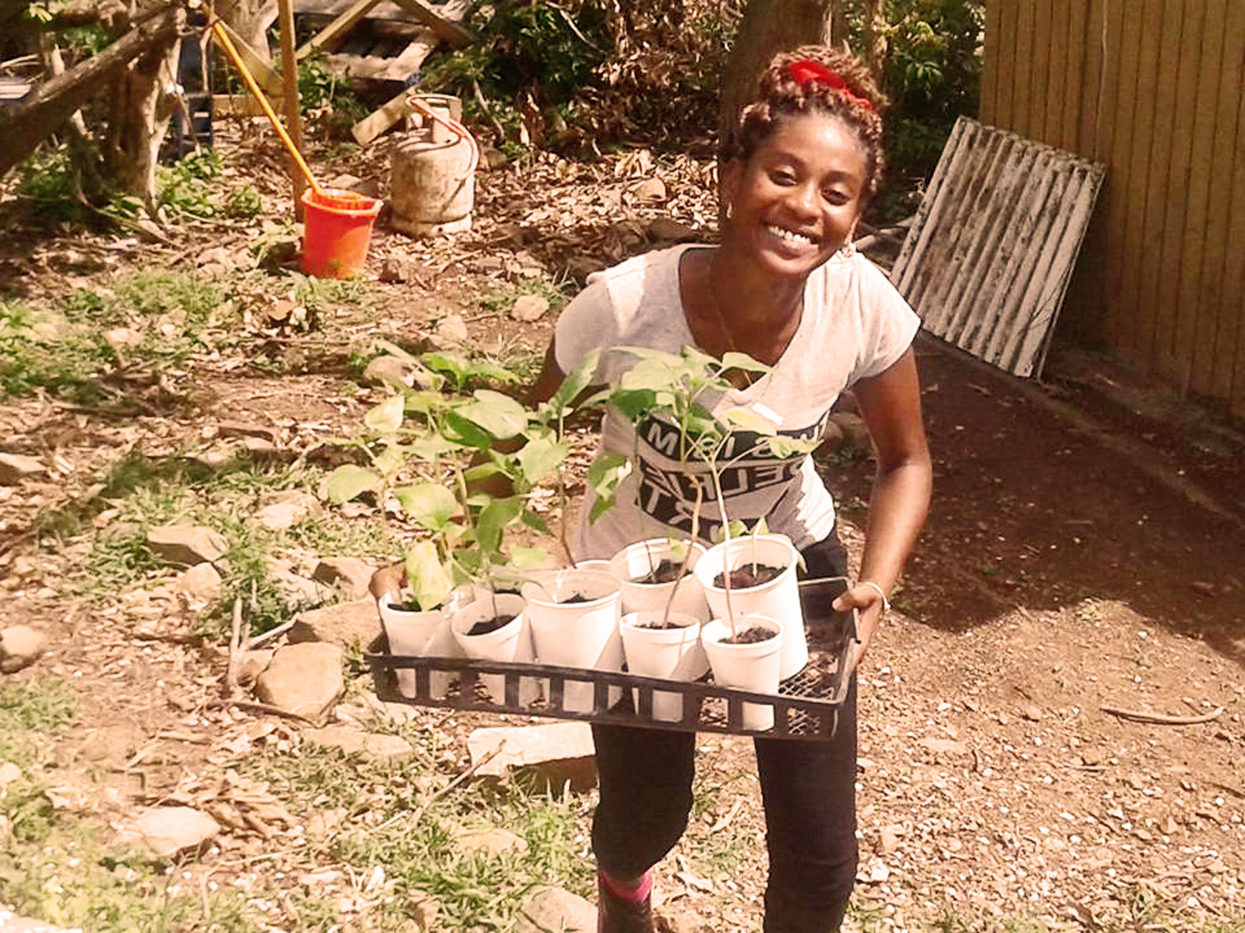 front-page-slider-sxm-agriculture-01-1400px