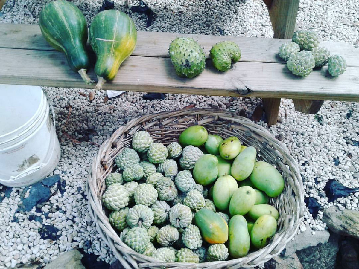 front-page-slider-sxm-agriculture-03-1200px