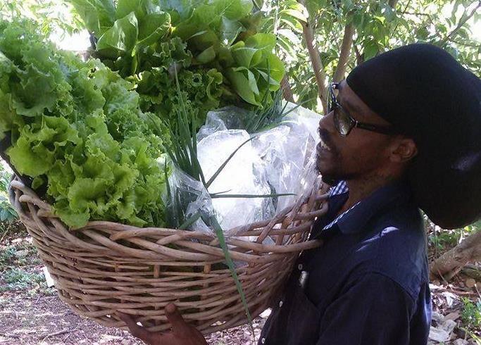 Prins Bernhard Cultuurfonds makes contribution to St Peters Community Garden Volunteer Program