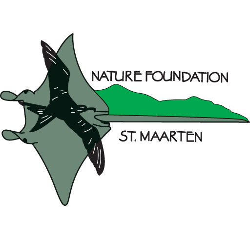 Using GCRMN Standards: SXM Nature Foundation Scientifically Assess Coral Reef Impacts Post Hurricanes Irma and Maria