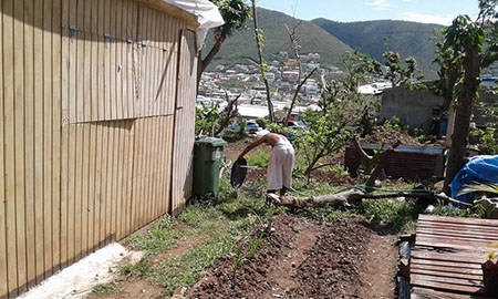 St-Peters-community-garden-st-maarten-rebuilding-volunteers-2017120137