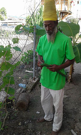 Skill-enhancement-program-week-2-dec-2017-sp-community-garden-st-maarten-agriculture-2017121737