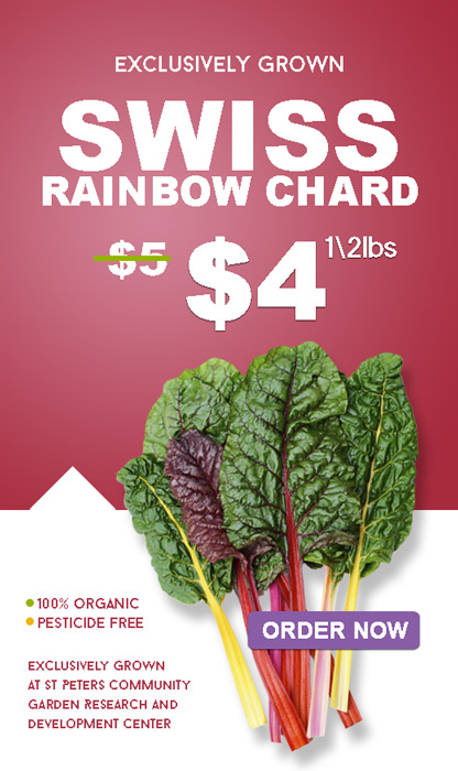 best-products–banner-rainbow-chard-large-st-maarten-agriculture