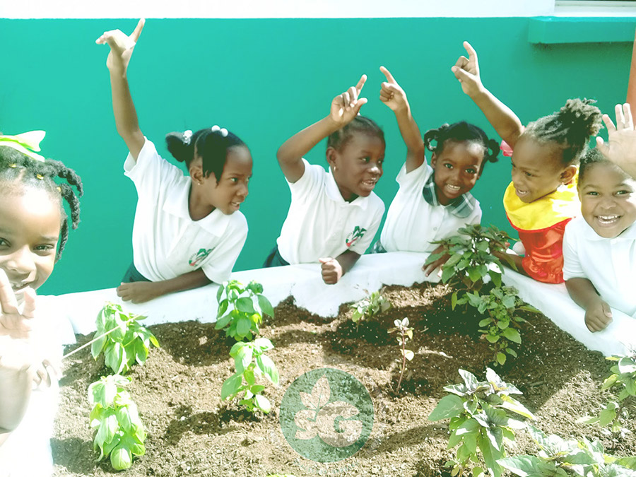 sister-magda-school-students-st-maarten-agriculture-eco-sxm2019042609