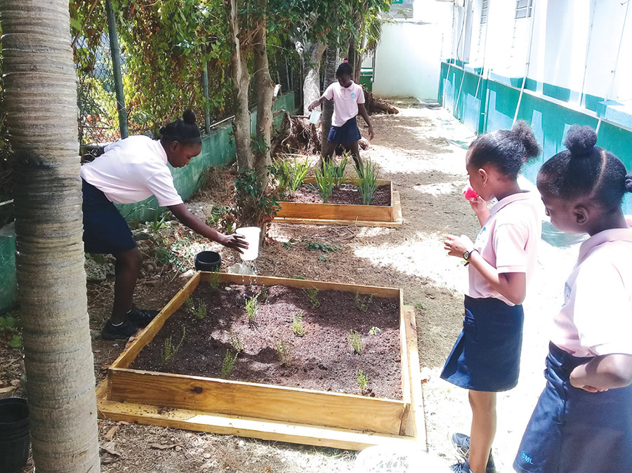 sister-magda-school-students-st-maarten-agriculture-eco-sxm2019042610