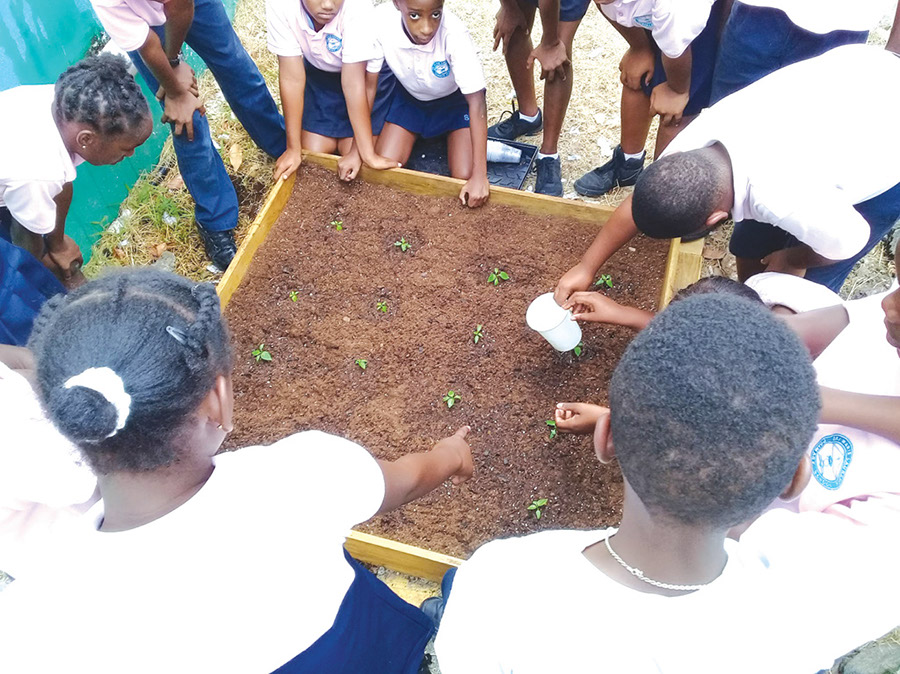 sister-magda-school-students-st-maarten-agriculture-eco-sxm2019042611