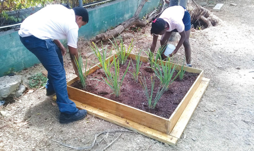 It’s time for Agriculture in the Classroom
