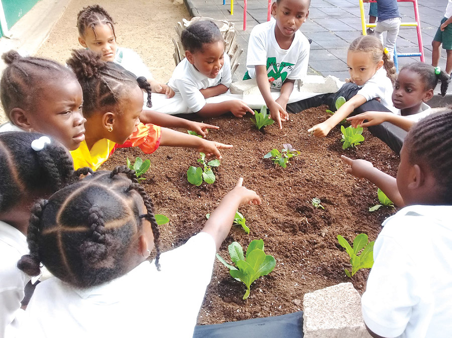 sister-magda-school-students-st-maarten-agriculture-eco-sxm2019042614