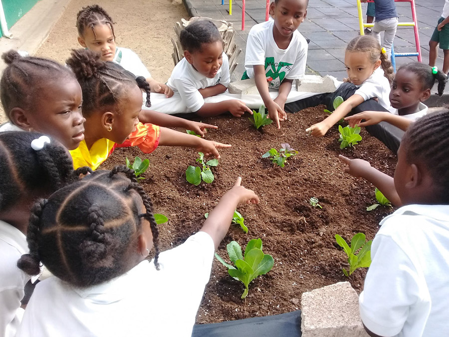 sister-magda-school-students-st-maarten-agriculture-eco-sxm2019042619