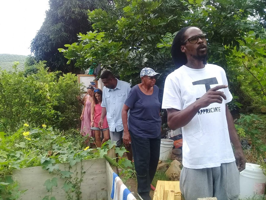 week-2-eco-learning-spaceless-gardens-st-maarten-agriculture-1