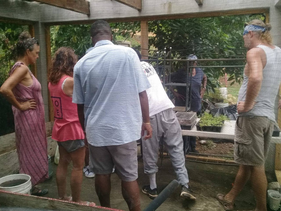 week-2-eco-learning-spaceless-gardens-st-maarten-agriculture-11